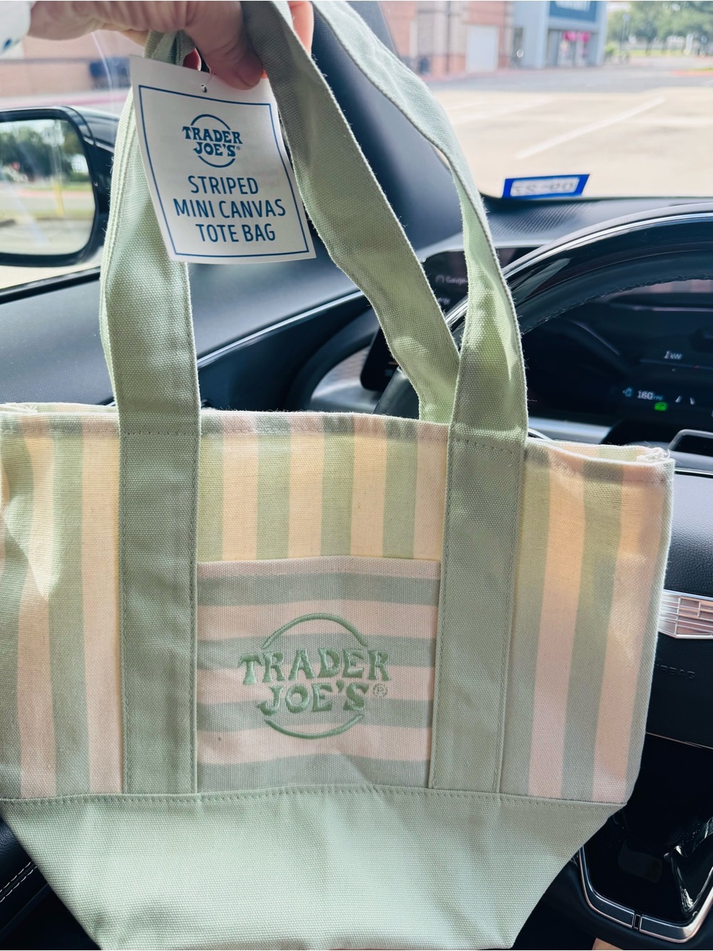 Trader Joe's Striped Mini Canvas Tote Bag in Sage & Cream 💚